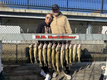 Two anglers proudly displaying a catch of Walleye on a catch board after a successful fishing trip.