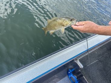 Awesome Fishing Day at Chatfield!!