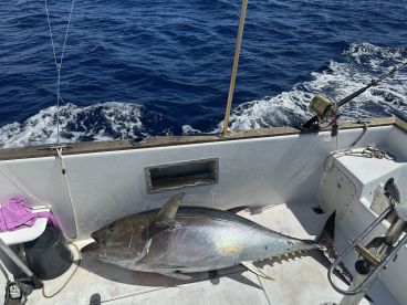 A large Yellowfin Tuna resting on the deck of a fishing boat, showcasing the deep blue ocean in the background.