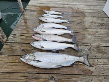 Fish-On Guide Service