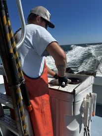 Caught plenty, made it easy