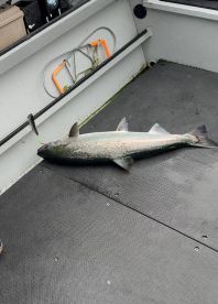 Fantastic fishing trip