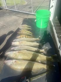 Great Anniversary Fishing 