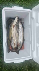 Fantastic Day on the Water