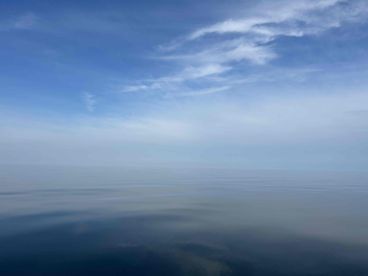 A serene view of calm waters under a clear blue sky, capturing the tranquil atmosphere of a fishing trip.