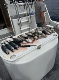 A variety of fish, including Snapper and Mackerel, are laid out on a cleaning table aboard a sportfishing boat, showcasing a successful catch.