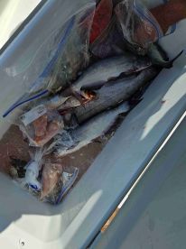 September fishing trip