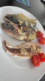 Super experience, best Captain and Crew 