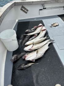 The perfect day of fiahing