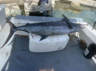 fishing with the swordfish crew