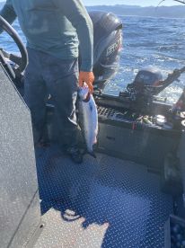 Angler holding a large Salmon aboard a fishing boat, showcasing a successful catch in a scenic marine environment.