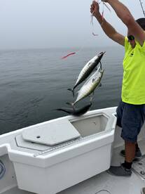 Another banger of a day on the Triton