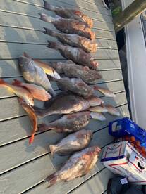 Great time with Matlatcha outfitters!