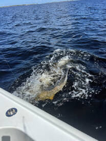 Mom reels in a sea monster 