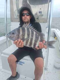 My 1st Sheepshead experience