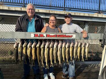 A group of three anglers proudly displaying their catch of Walleye on a catch board after a successful fishing trip.