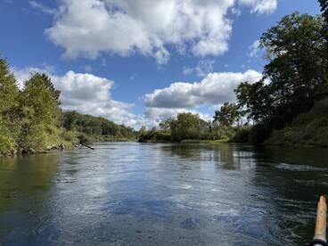Scenic view of a tranquil river surrounded by lush greenery and a clear blue sky, ideal for fishing adventures.