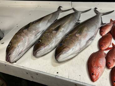 Captain and deck hand are the best. 