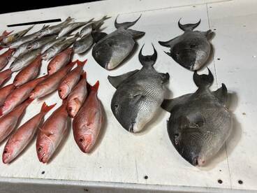 Captain and deck hand are the best. 