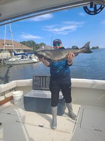 Prefect day of fishing. 