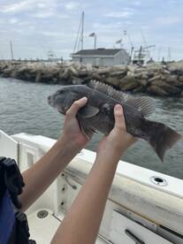 Quality Fishing Trip! 