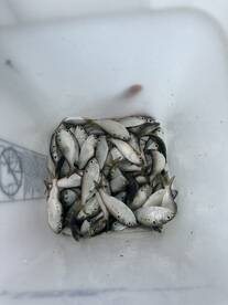 Quality Fishing Trip! 