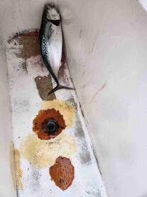 GREAT FISHING \ud83c\udfa3 TRIP 