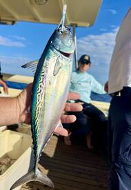 Angler proudly displaying a vibrant fish while on board a fishing boat, showcasing a successful catch during a day on the water.