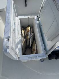 Great day on the water!