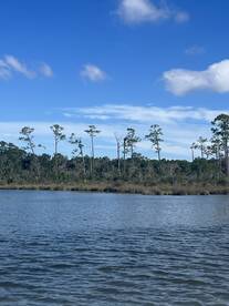 Great day on the water!