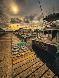 Best charter on the east coast 