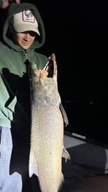 Black Wolf is the best