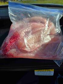 Great Captain and mate.