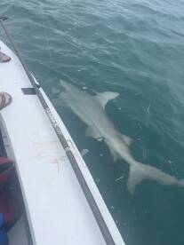 Best charter in the Keys