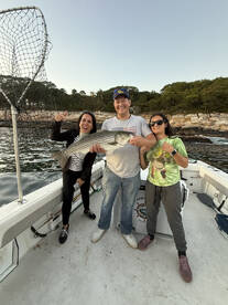 Amazing experience for my family