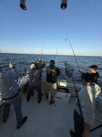 All about the cap and mate, great guys!