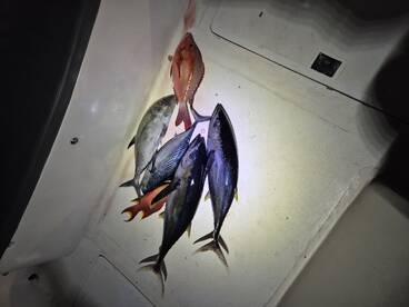 Great days fishing out on the water