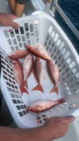 pretty rough for this kind of fishing