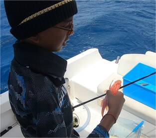 Jordan B Johannesburg South Africa