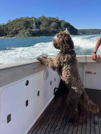 Somuch fun, great boat & crew