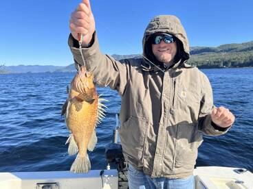 Highly recommend to anyone