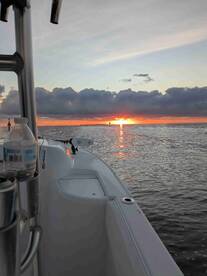 12 for 12, limited out in 2 hours!