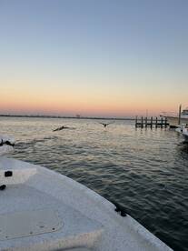 \u201cFish on\u201d \u201cshark on\u201d just chill!!!