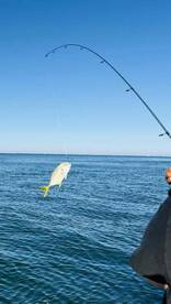 great time for the family