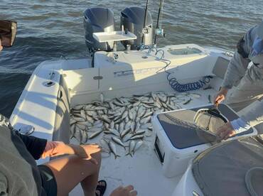 Captain Tim Is In A League of How Own!