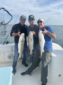 Action galore and tired arms!