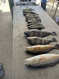 Outstanding trip from start to finish 