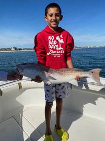 Highly recommended !!