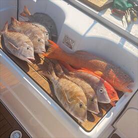 An Unforgettable Day on the Water!!