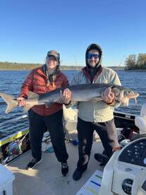 Exceded all Expectations